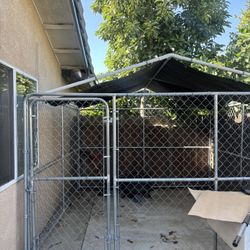 Dog Cage