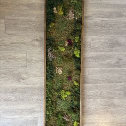 Handmade Preserved Moss Art 