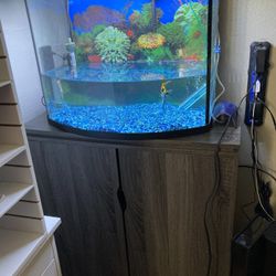 Fish tank 