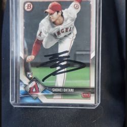 Shohei And Trout 