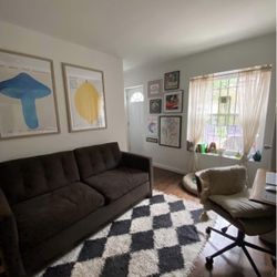 Brown Apartment Pullout Sofa 