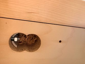 IKEA queen size bed and 10-inch mattress