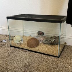 Ten Gallon Reptile Tank