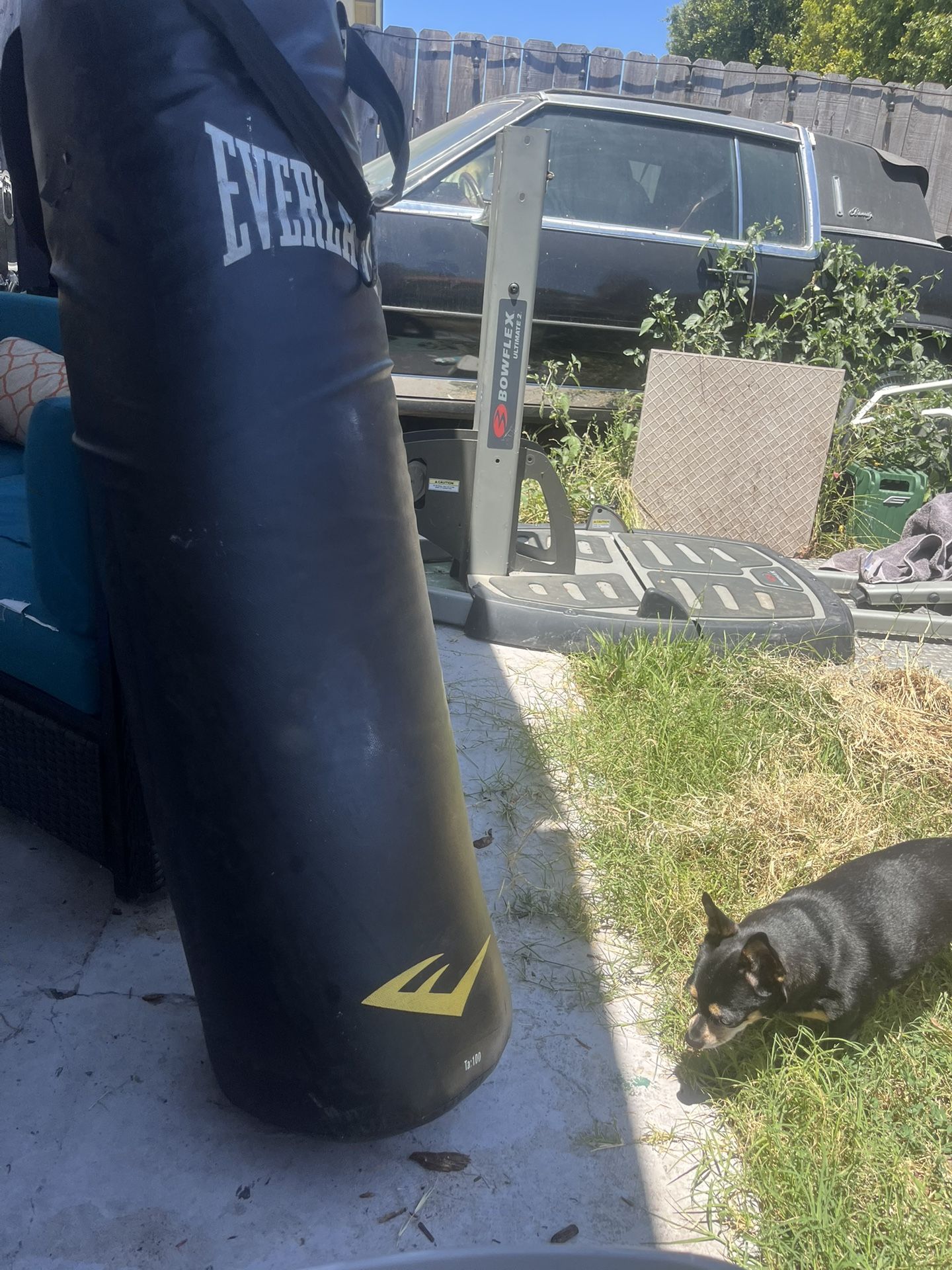 Everlast Punching Bag