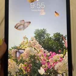 iPad Air 5