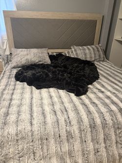 KING MATTRESS WITH BOX SPRING
