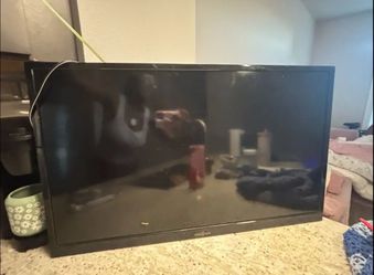 Insignia Flat Screen TV