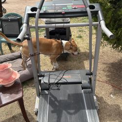 Pro-Form 590 Ls Crosswalk