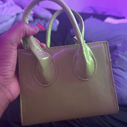 green purse 