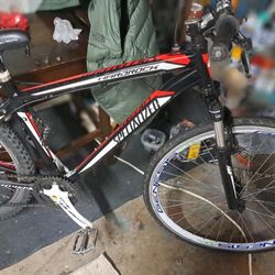 Specialized Adult Bike