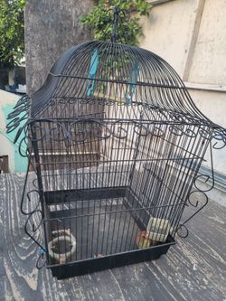 jaula para