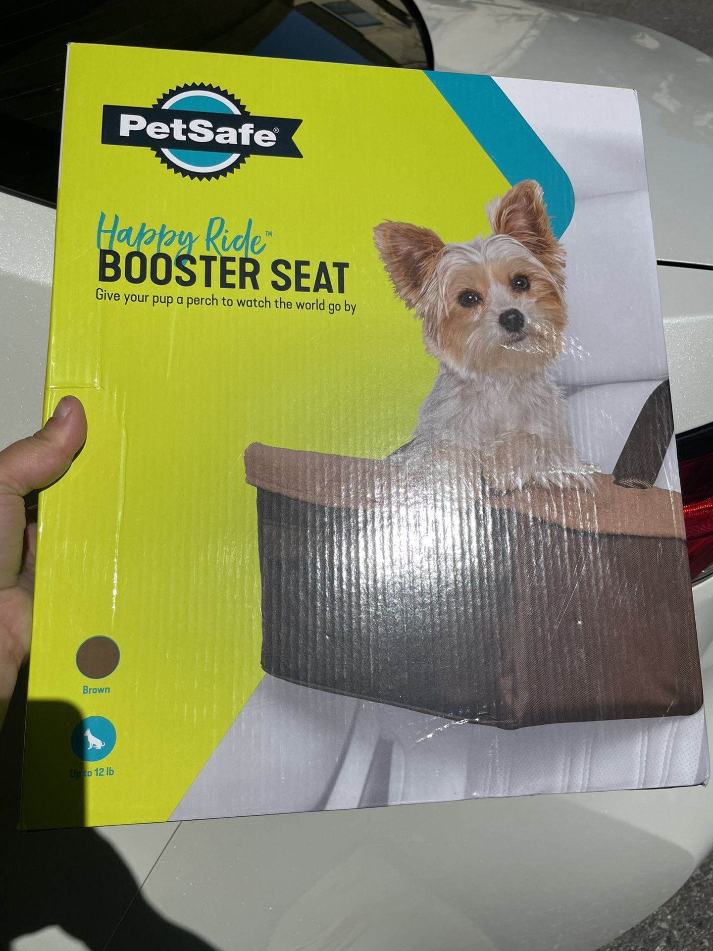 Dog Car seat 