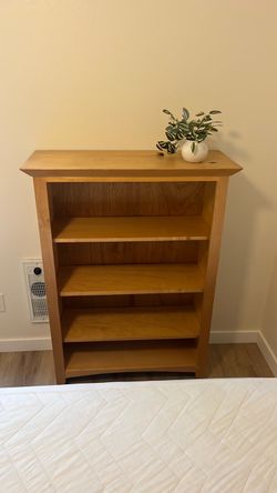 Bookcase and filing cabinet