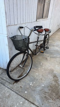 2 seater bike
