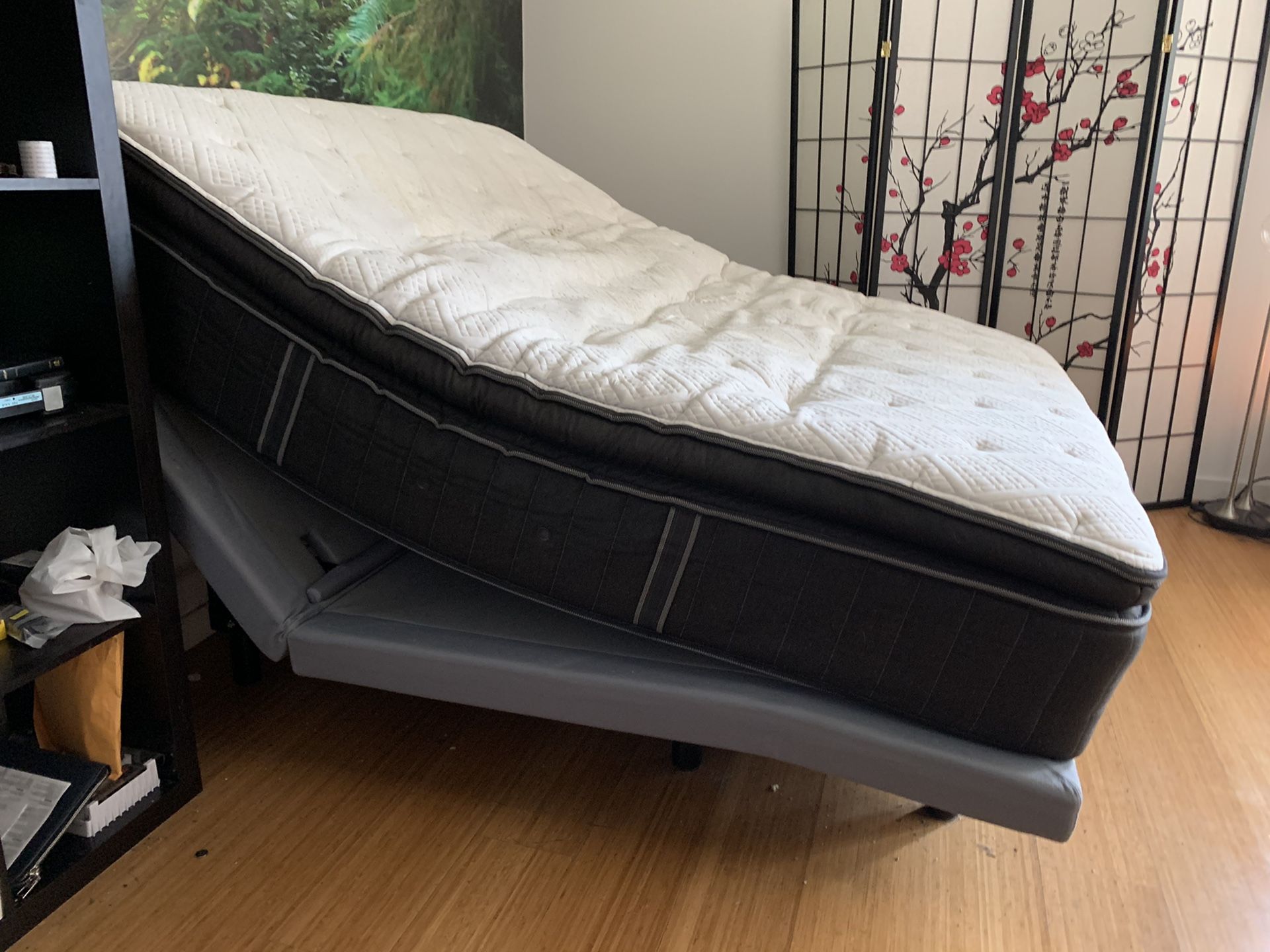 Revive electric bed
