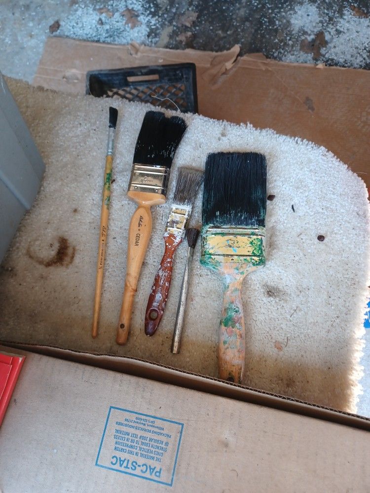 Paint Brushes