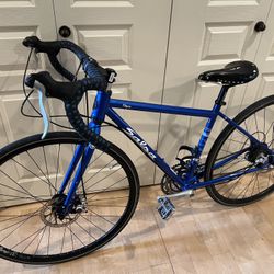 Salsa Vaya Disc Bike