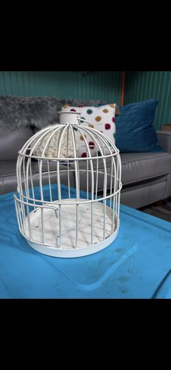 White Decorative Bird Cage 