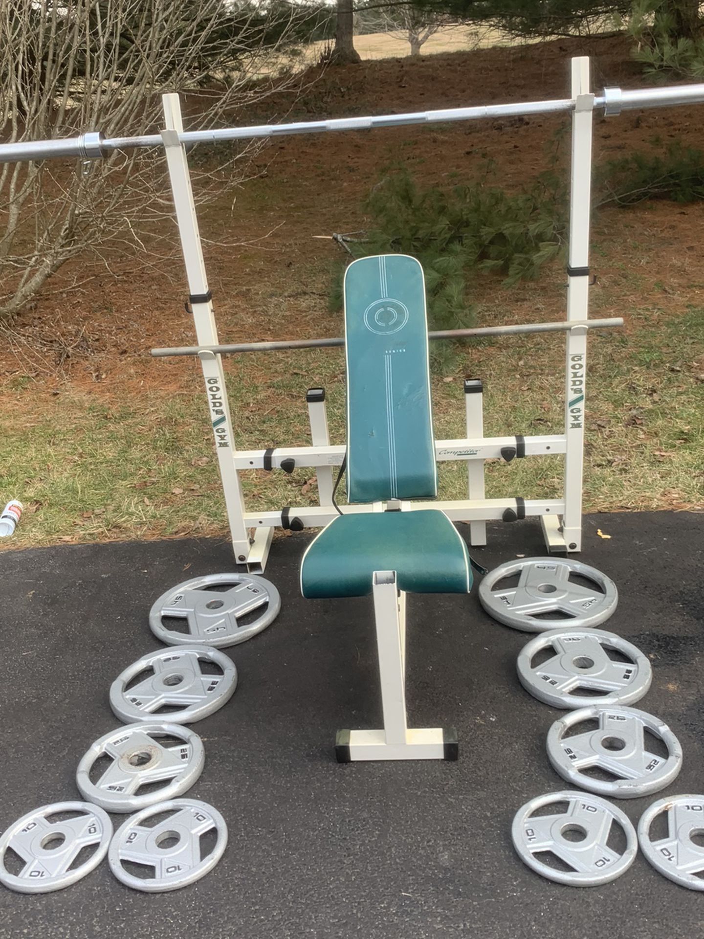 Home Gym- Bench 295lbs Weight Set Dip Attachment Ect