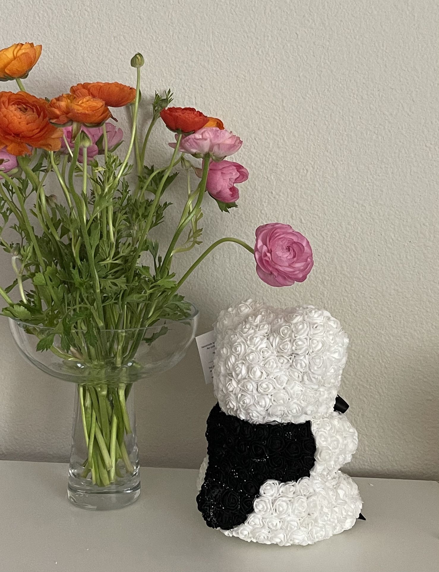 Musician Rose Bears