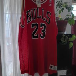 Vintage Michael Jordan Jersey 