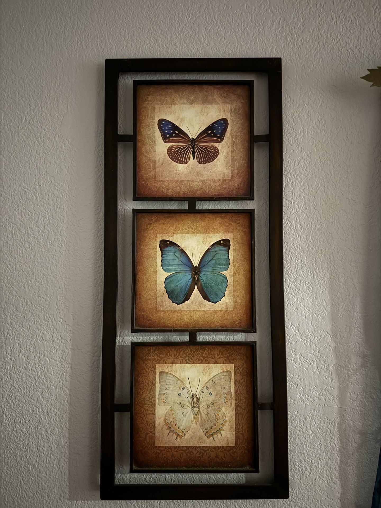 A Pair Of Butterfly Wall Frames