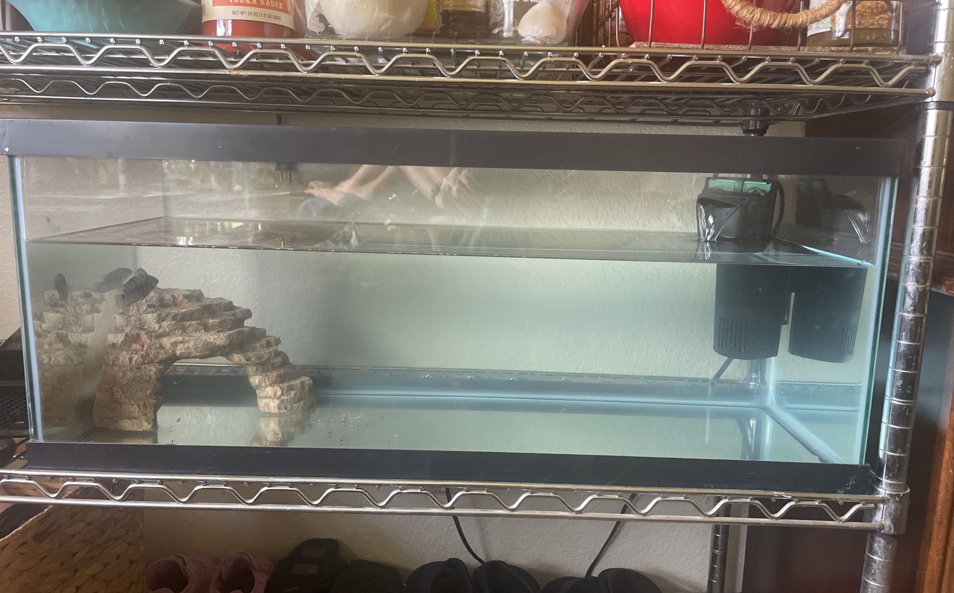20 Gallon Long Fish tank Or Reptile Tank