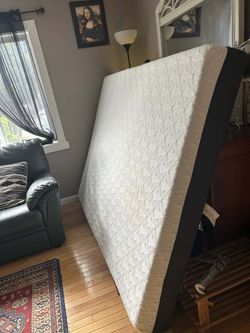 Queen Mattress (Wine Spot)