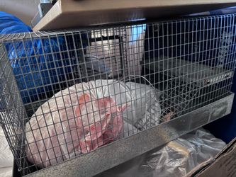 Small animal cage