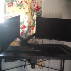 Phillips 241E Dual Monitors