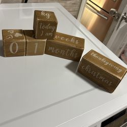 Baby Milestone Wood Blocks 