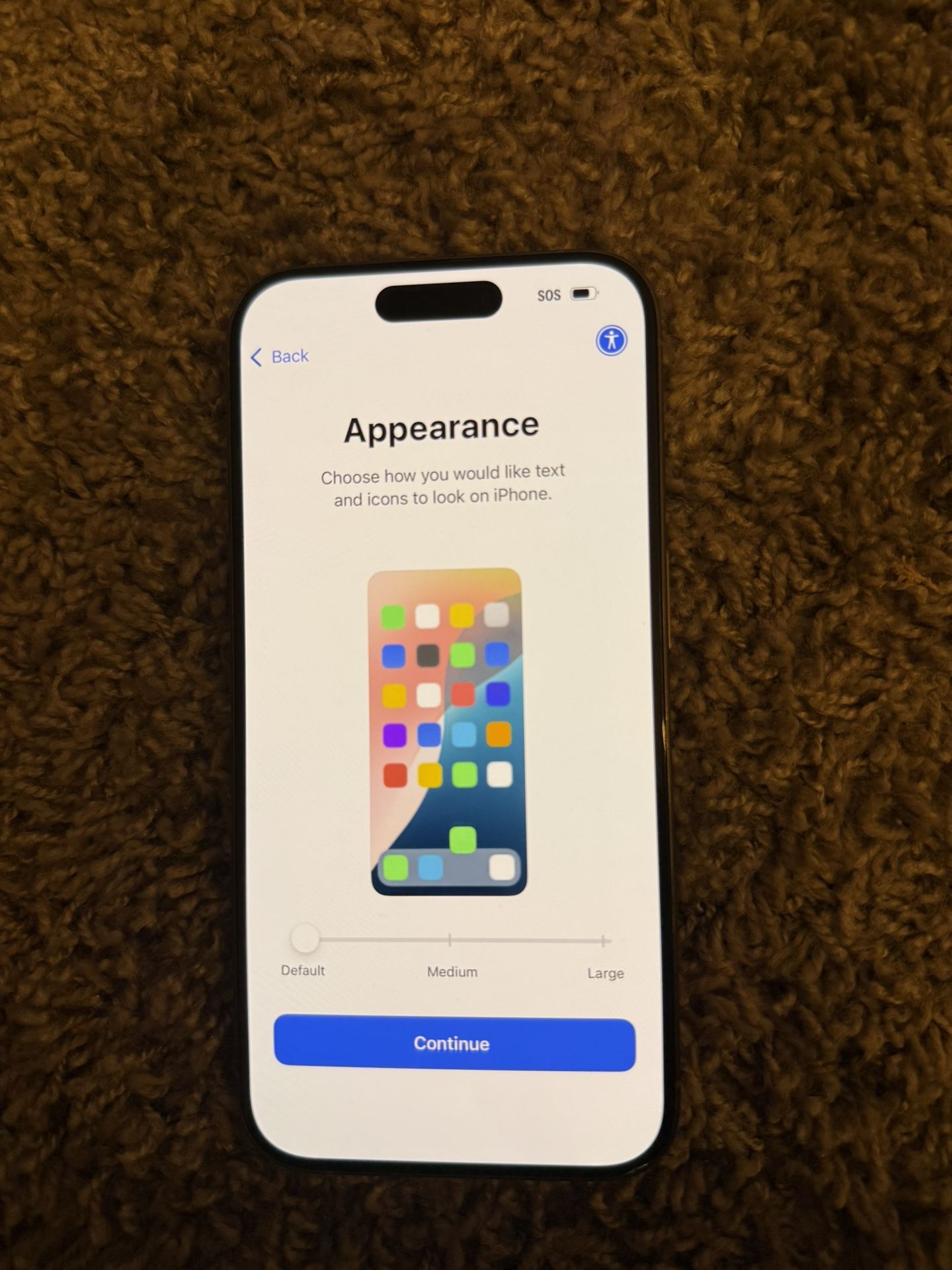 iPhone 16 Pro