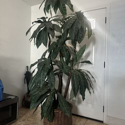 indoor fake plant 