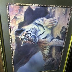 Framed Tiger Picture -