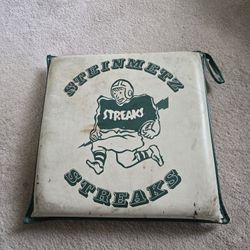 STEINMETZ HIGH SCHOOL STREAKS SEAT CUSHION