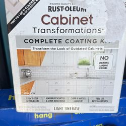Cabinet Paint Kit 