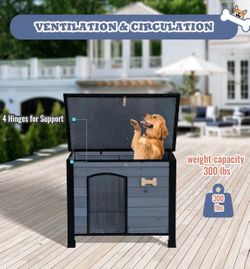 Outdoor Dog House, 31" Indoor Outdoor Doghouse Puppy Shelter Dog House with Iron Frame,Anti-Bite Design Dog Home for Small Medium Some Large Dogs (Ora