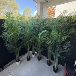 Six 6ft Fake Palms