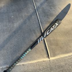 Baseball Bat Cat X Vanta 