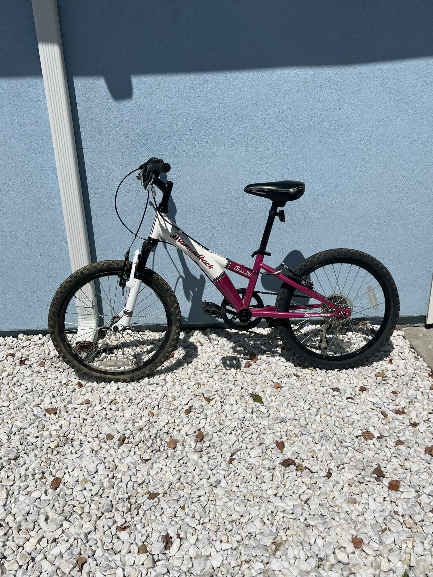 Diamondback Tess 2.0 Bike