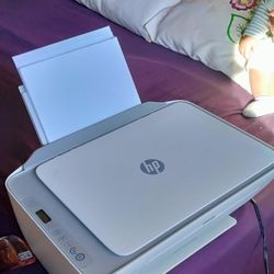 hp Printer