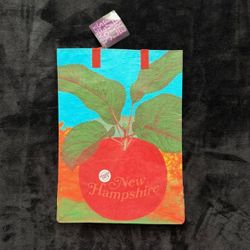 Trader Joe’s Mystery Reusable Grocery Bag New Hampshire