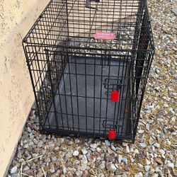 Animal Kennel