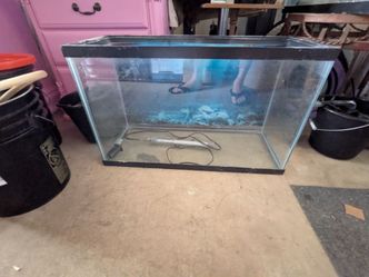 30 gallon fish tank with heater, needs a good cleaning
