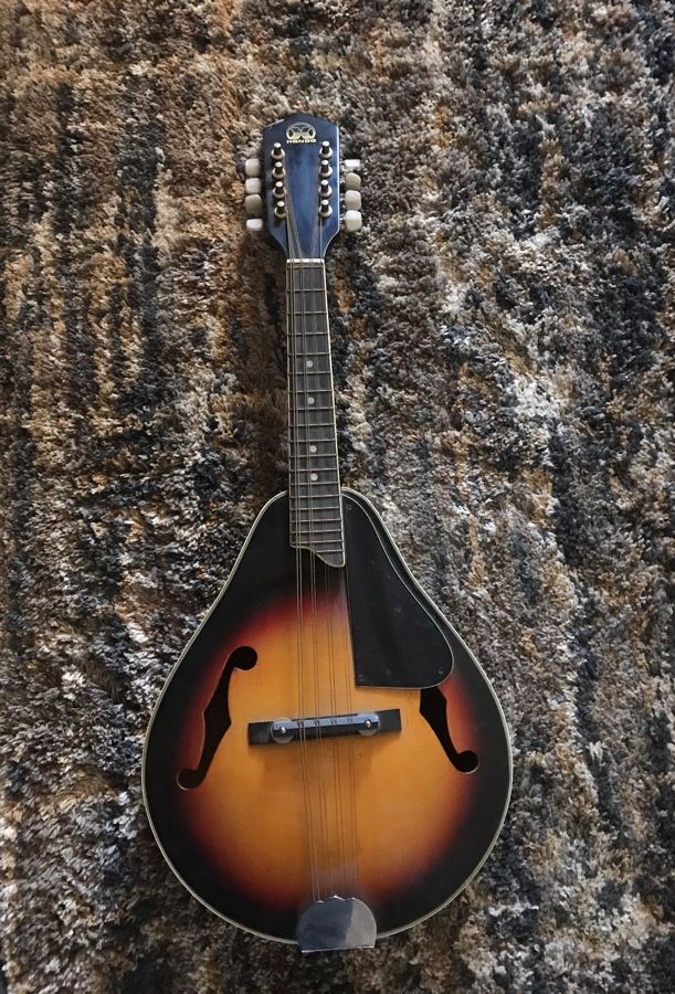 Hondo hm6 mandolin for Sale in Glendale AZ OfferUp