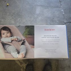 Baby Bjorn Bouncer Seat 