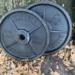 45lb Plates 