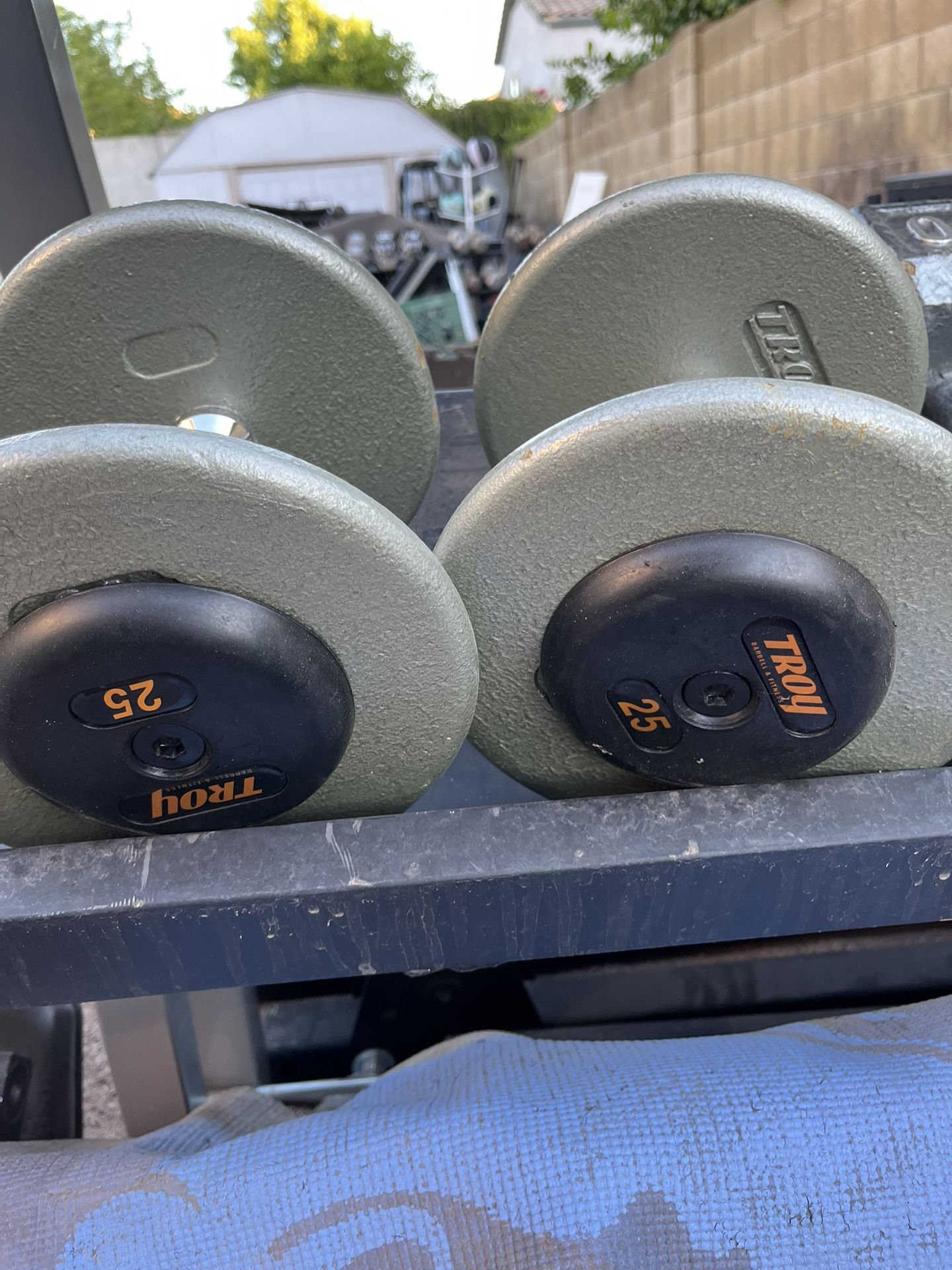 Troy 25lb Pro Style Iron Dumbbell Set