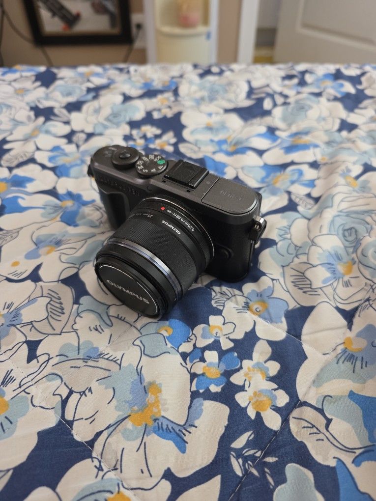 Micro Four Thirds Olympus Pen E-PL10 w/ 25mm 1.8