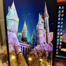 Asus 27” LCD Monitor